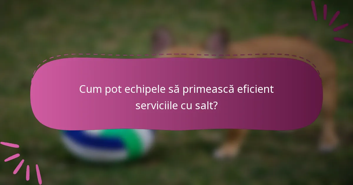 Cum pot echipele să primească eficient serviciile cu salt?
